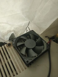 Imagen de reseña 4