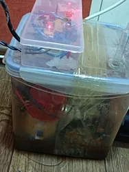 Imagen de reseña 1