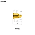 H020