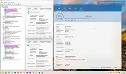 Imagen de reseña 4