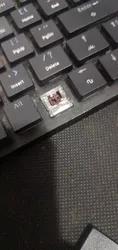 Imagen de reseña 2