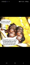 Imagen de reseña 5