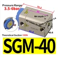 SGM-40
