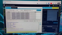 Imagen de reseña 2