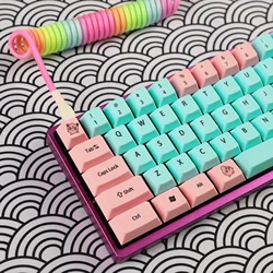 Cable USB-A a USB-C para Teclado Trenzado Aviador Multicolor