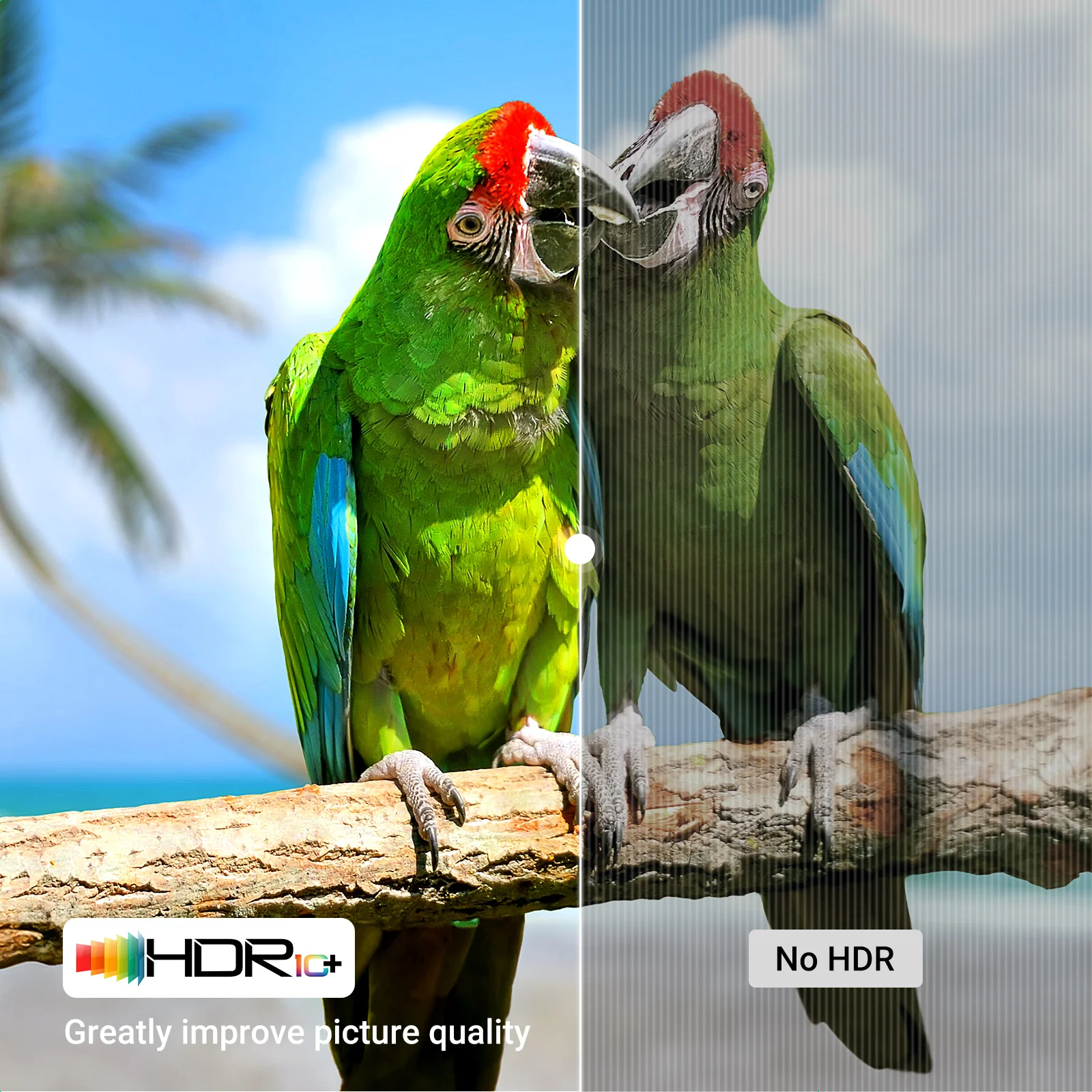 UGREEN Cable HDMI 8K 60Hz – Alta Velocidad 4K/8K - imagen 5