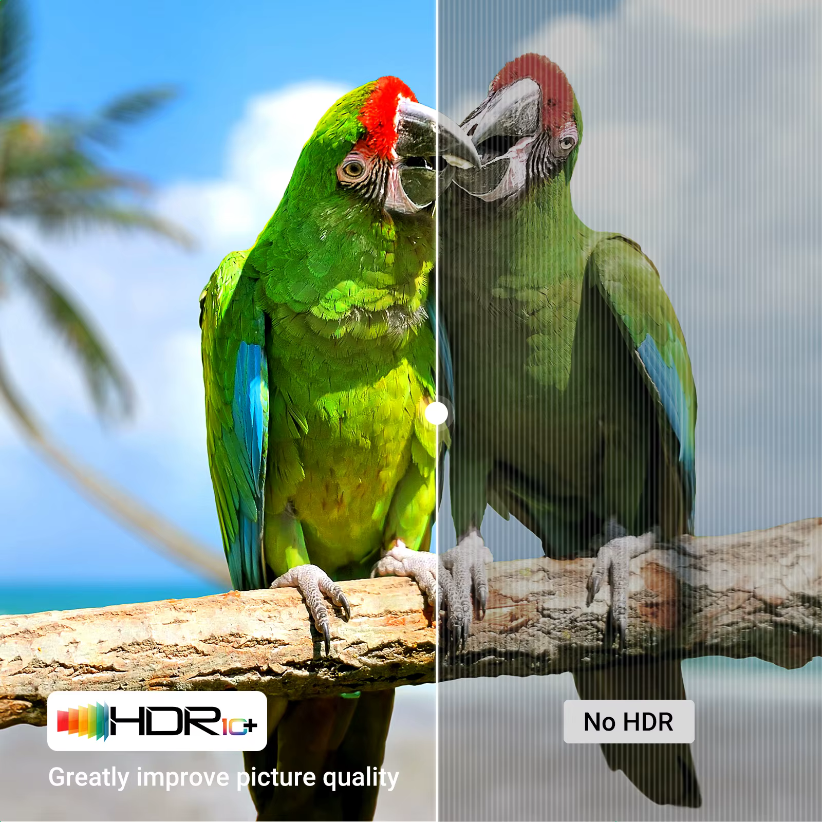 UGREEN Cable HDMI 8K 60Hz – Alta Velocidad 4K/8K - imagen 5