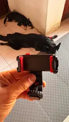 Imagen de reseña 3