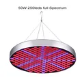 50W 250leds