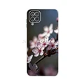 Case-C25