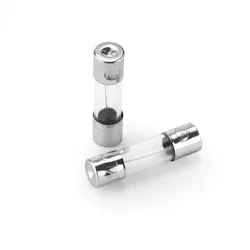 Fusibles Rápidos de Vidrio 5x20mm 250V para Electrónica