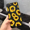 Sunflower-P020