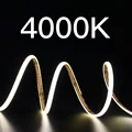 4000K