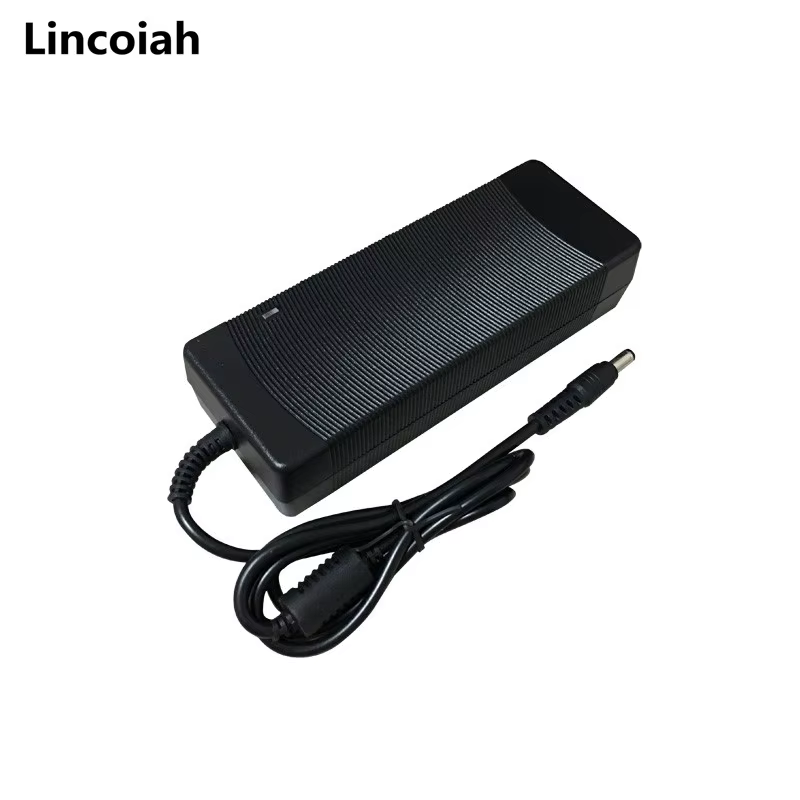 Cargador 24V 6A para Portátil DAC – Entrada 100-240V - imagen 3