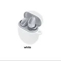 white w dust plug