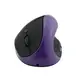 Purple WirelessMouse