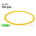 100pcs SC APC