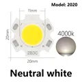 2020 Neutral 10pcs