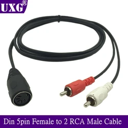 Cable Adaptador Cinco Pines DIN Hembra a Dos RCA Macho para Coche