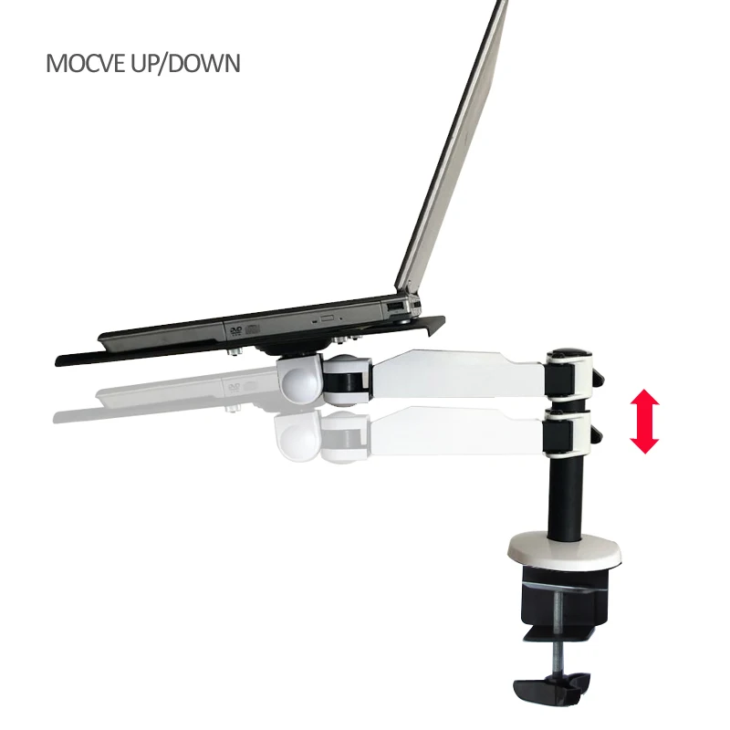 Portátil - Vista inferior