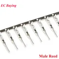Male Reed 50pcs