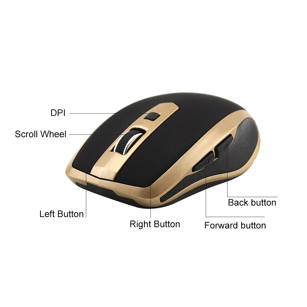 computer mouse.jpg