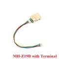 Z19B with Terminal
