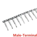 Male Terminal 50PCS