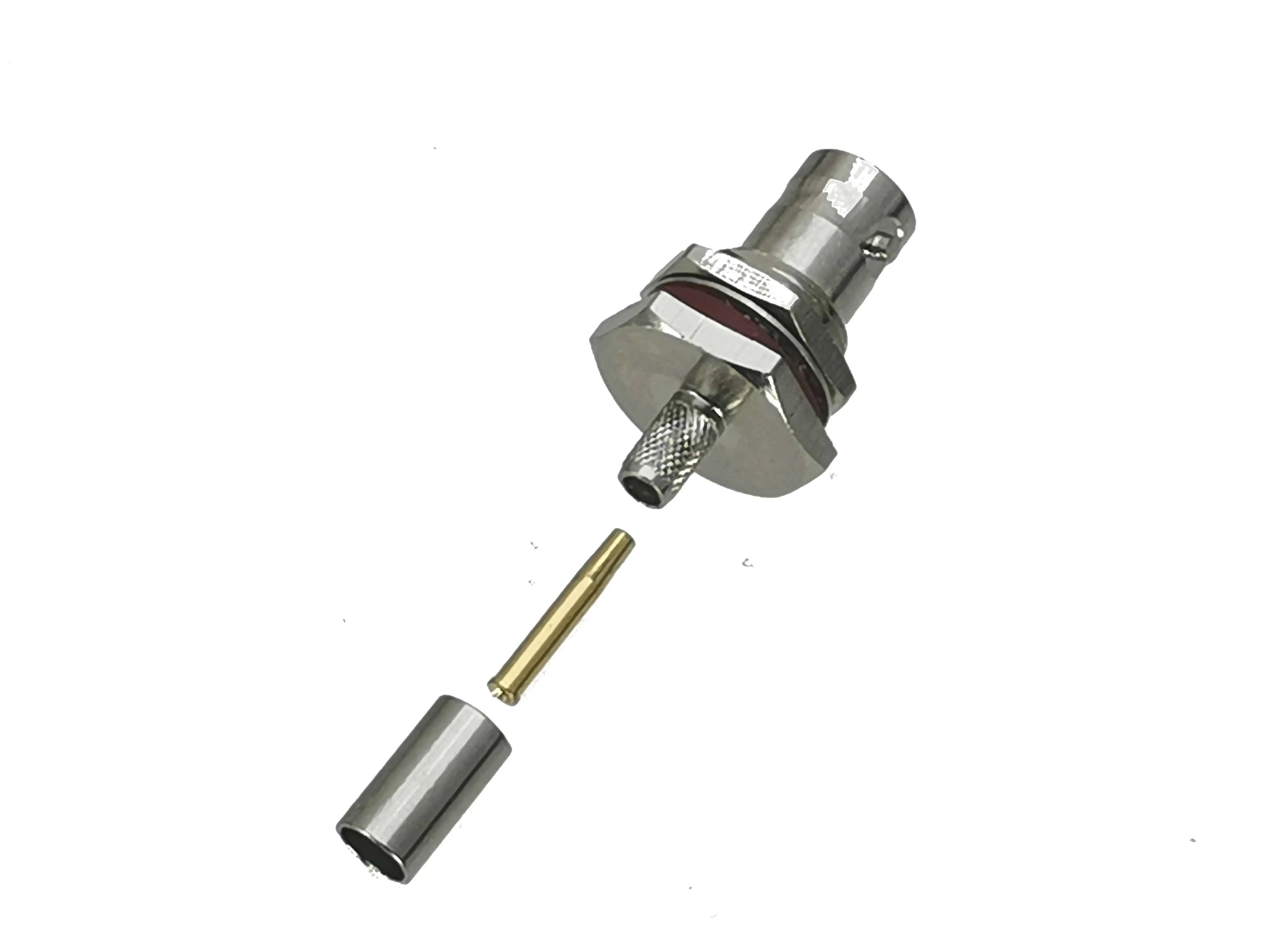 Hembra - Vista lateral