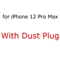 12 Pro Max With Plug