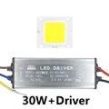 30W y Controlador