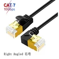 Cat7 Right