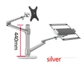 long pole silver