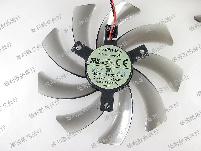 1 - - - - - - - - - - - - - - - - - -