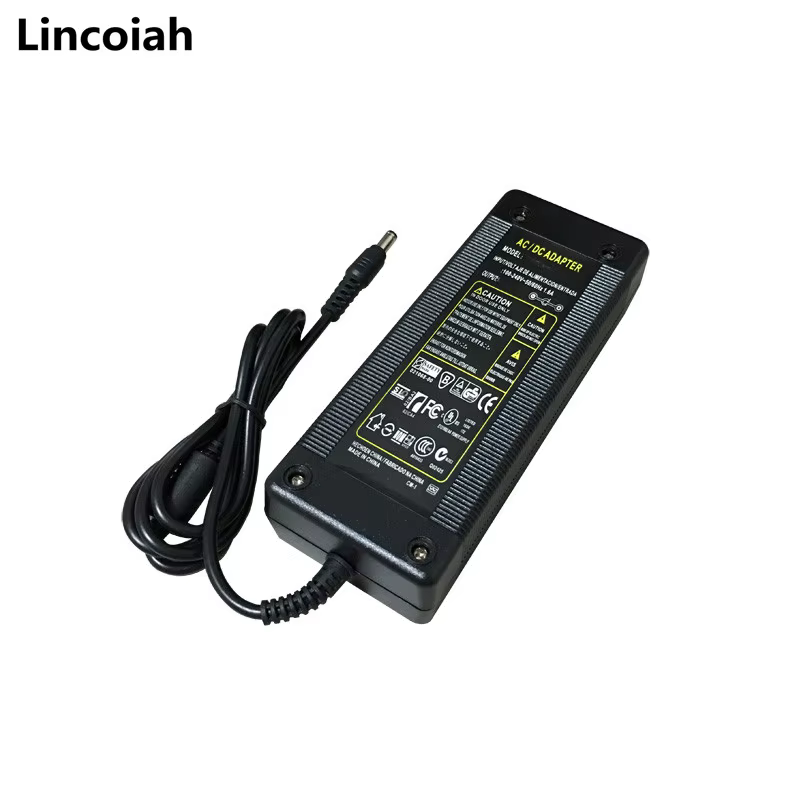 Cargador 24V 6A para Portátil DAC – Entrada 100-240V - imagen 2