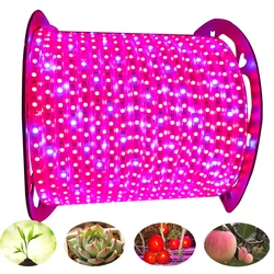 Tira LED Cultivo Plantas Invernadero - Espectro Completo IP67