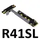 R41SL
