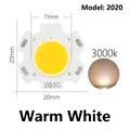 2020 Warm 10pcs
