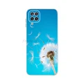 Case-C20