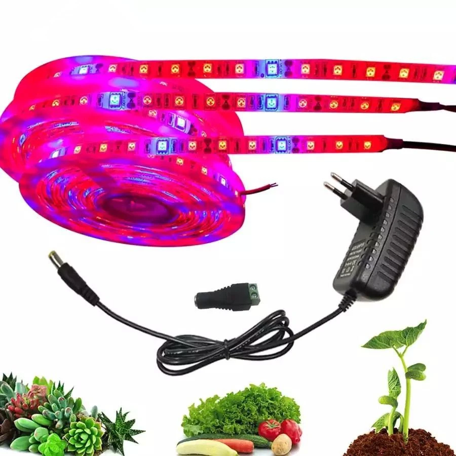 Fuente Alimentación 12V 3A Conector Hembra LED Interior - imagen 3