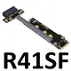 R41SF