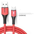 Micro USB Red