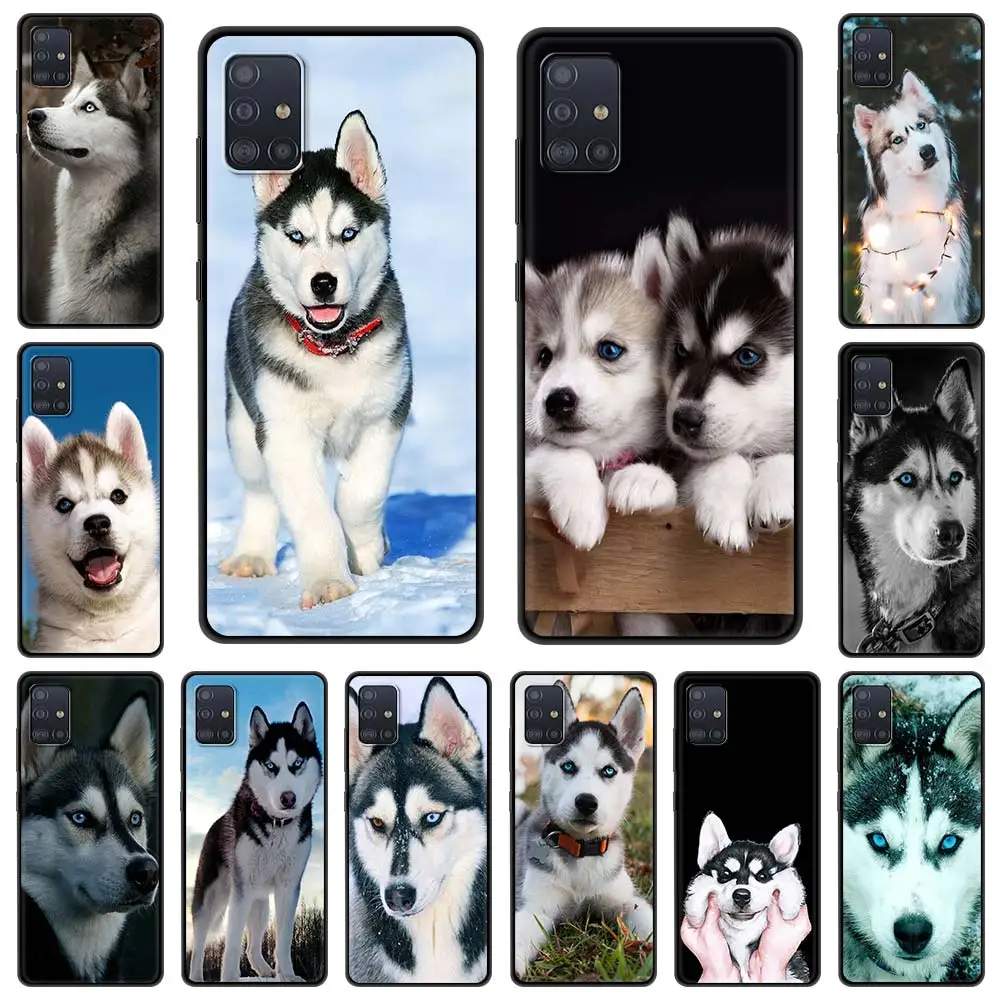 Funda de teléfono Alaskan Husky Dog para Samsung Galaxy A51, A71, A21S, A03s, A13, A33, A53, A11, A31, A52, A41, A32, 5G, A01, color negro