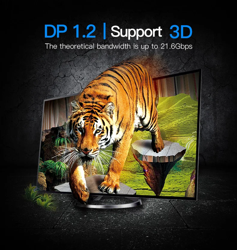 Adaptador DP - Conexión DisplayPort