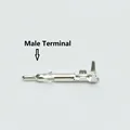 10 Male Terminal