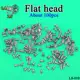 Flat head 2.5