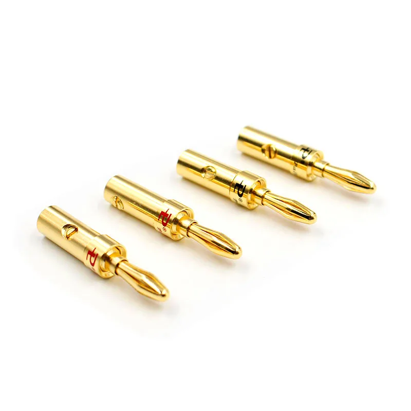 Pailiccs - Vista del Pailiccs