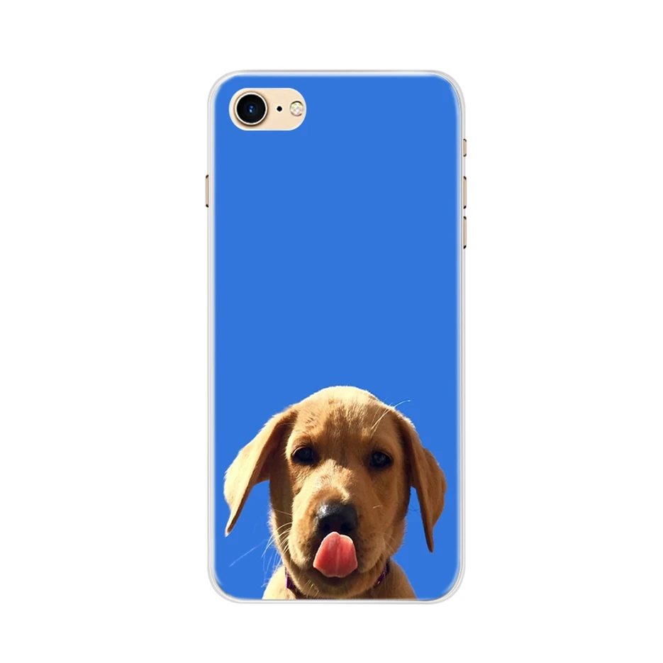 360 Funda completa para Coque iphone 7 iPhone 8 i7 i8 Funda trasera suave de TPU para teléfono Funda iphone 7 8 plus 7plus 8plus Fundas - imagen 4