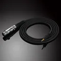 3.5 to xlr male