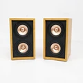 A 4ohm 1 pair